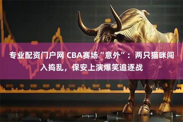 专业配资门户网 CBA赛场“意外”：两只猫咪闯入捣乱，保安上演爆笑追逐战
