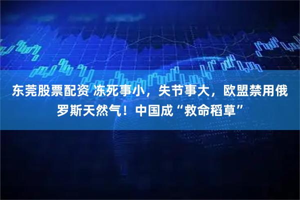 东莞股票配资 冻死事小，失节事大，欧盟禁用俄罗斯天然气！中国成“救命稻草”