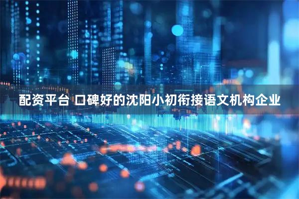 配资平台 口碑好的沈阳小初衔接语文机构企业