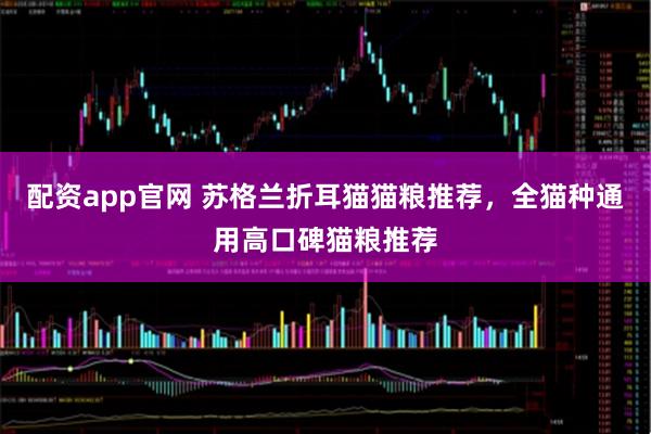 配资app官网 苏格兰折耳猫猫粮推荐，全猫种通用高口碑猫粮推荐